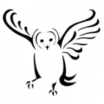 Chintimini Wildlife Center logo