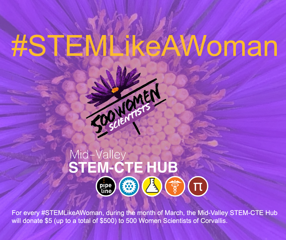 Graphic about the #STEMLikeAWoman campaign