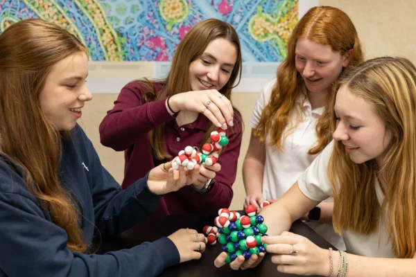 Water Molecule and Salt Crystal Model Sets - Image 5