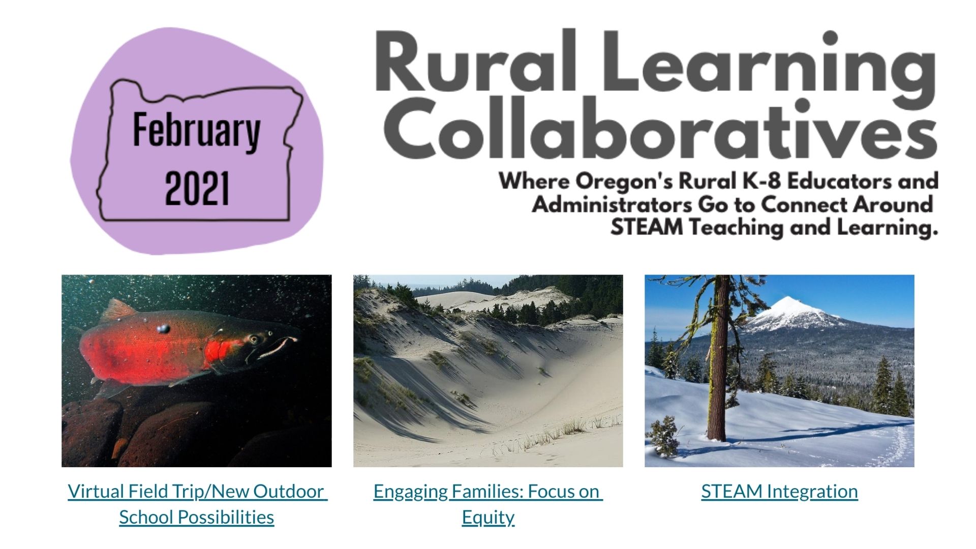 Rural Learning Collaboratives