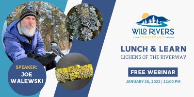 lichens of the riverway event banner
