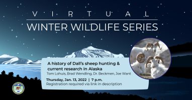 winter wildlife series event banner