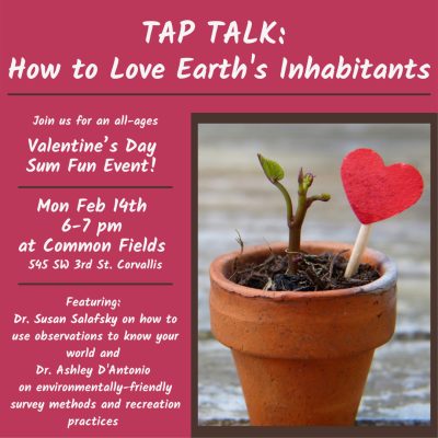 Tap Talks flyer