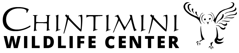 CWC logo